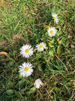 Freundeskreis St. Johannes Veranstaltungskalender 2026
